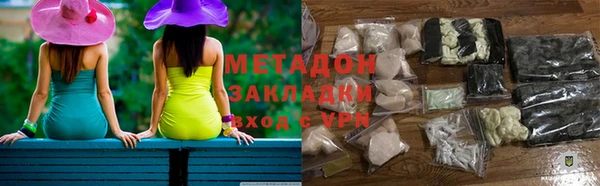 гашик Ельня
