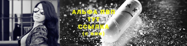гашик Ельня
