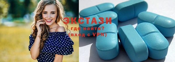 гашик Ельня