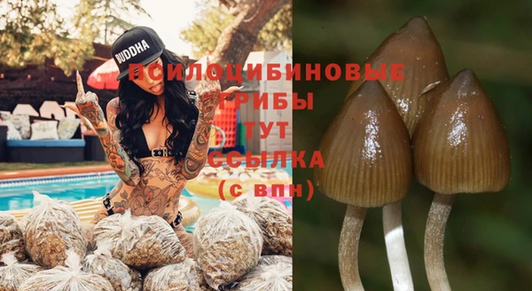 мяу мяу мука Яровое