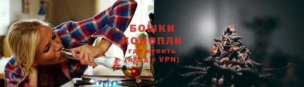 гашик Ельня