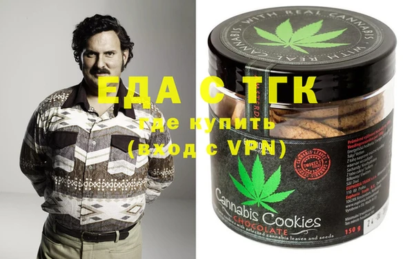 гашик Ельня
