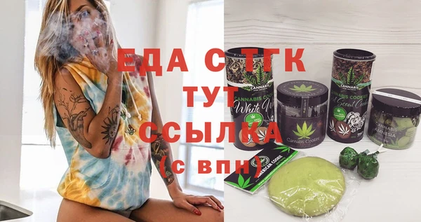 гашик Ельня