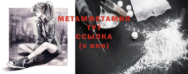 гашик Ельня