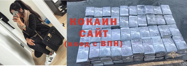 гашик Ельня