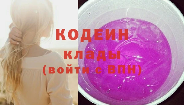 гашик Ельня