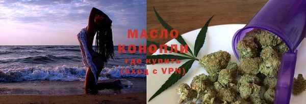 гашик Ельня