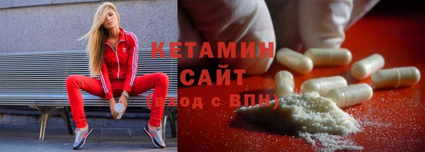 гашик Ельня