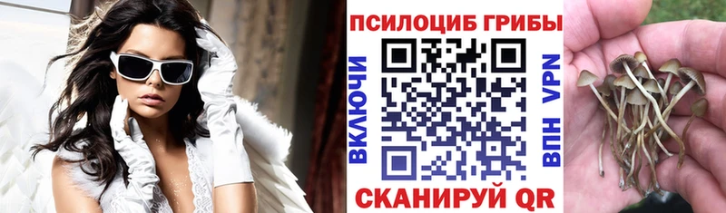 Псилоцибиновые грибы прущие грибы  Ирбит 
